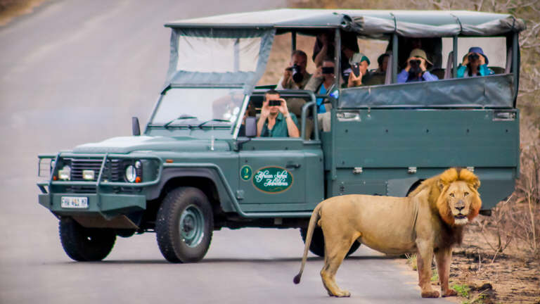 Open Vehicle Safaris - African Safari Adventures