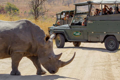 African Safari Adventures