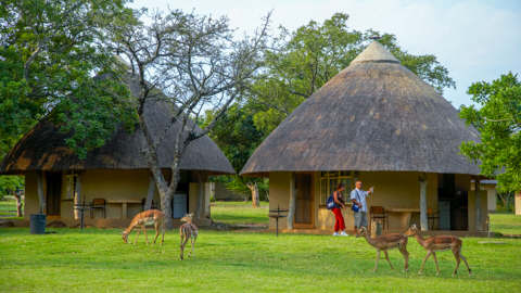 African Safari Adventures