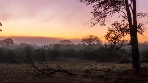 African Safari Adventures